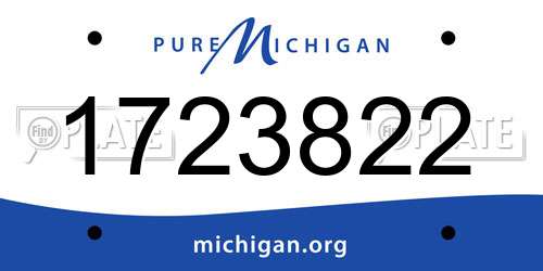 1723822 Michigan License Plate