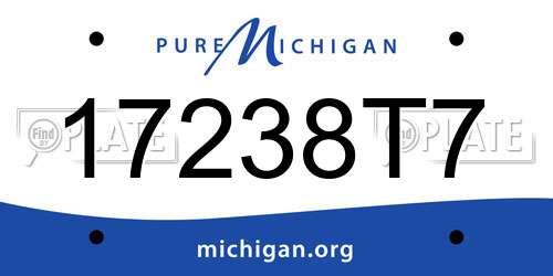 17238T7 Michigan License Plate
