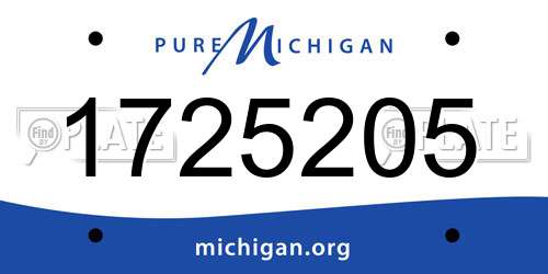 1725205 Michigan License Plate