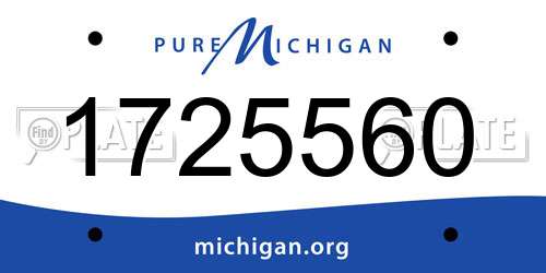 1725560 Michigan License Plate
