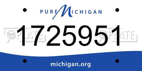 1725951 Michigan License Plate
