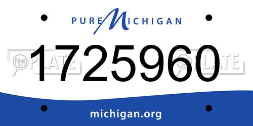 1725960 Michigan License Plate
