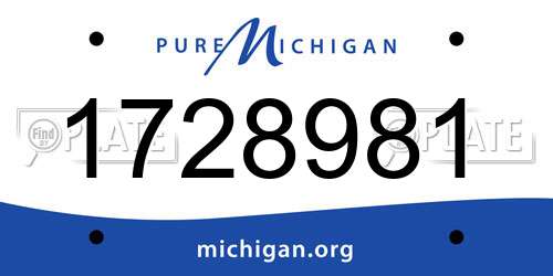 1728981 Michigan License Plate