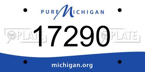 17290 Michigan License Plate