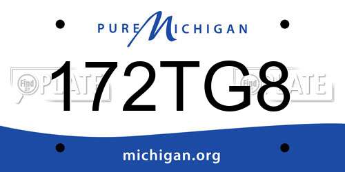 172TG8 Michigan License Plate