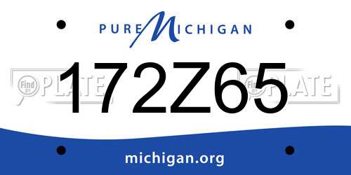 172Z65 Michigan License Plate