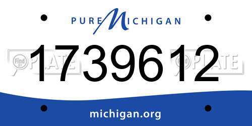 1739612 Michigan License Plate