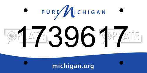 1739617 Michigan License Plate