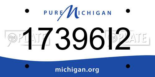 17396I2 Michigan License Plate