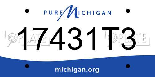 17431T3 Michigan License Plate