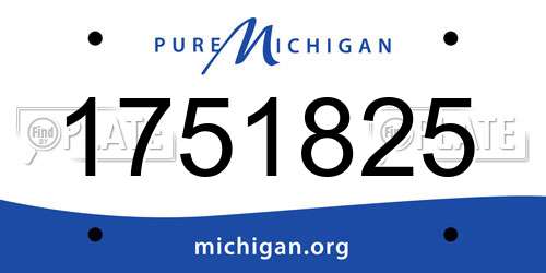 1751825 Michigan License Plate