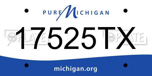 17525TX Michigan License Plate