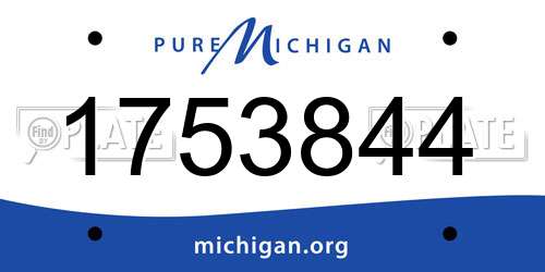 1753844 Michigan License Plate