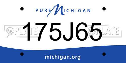 175J65 Michigan License Plate