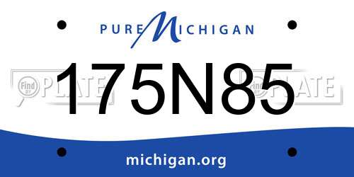 175N85 Michigan License Plate