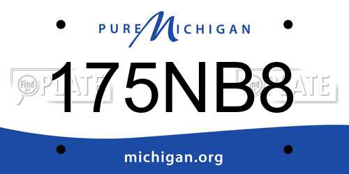175NB8 Michigan License Plate