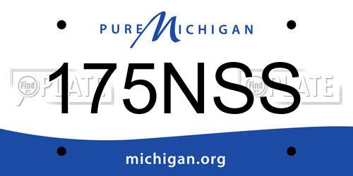 175NSS Michigan License Plate