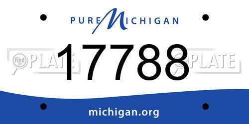 17788 Michigan License Plate
