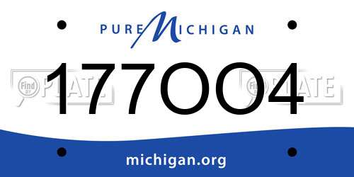 177OO4 Michigan License Plate