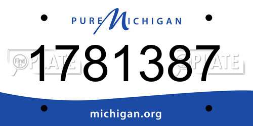 1781387 Michigan License Plate