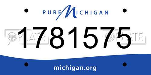 1781575 Michigan License Plate