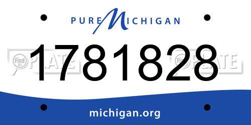 1781828 Michigan License Plate