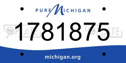 1781875 Michigan License Plate