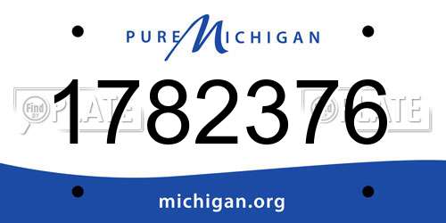1782376 Michigan License Plate