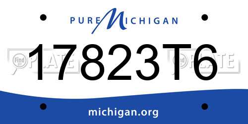 17823T6 Michigan License Plate