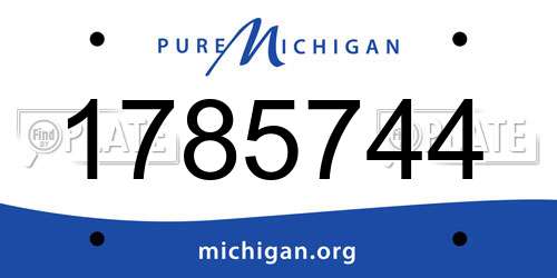 1785744 Michigan License Plate