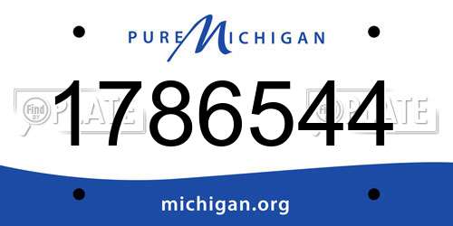 1786544 Michigan License Plate