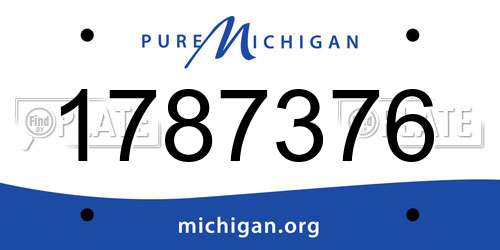 1787376 Michigan License Plate