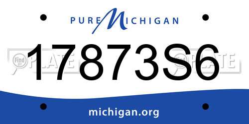 17873S6 Michigan License Plate