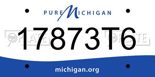 17873T6 Michigan License Plate