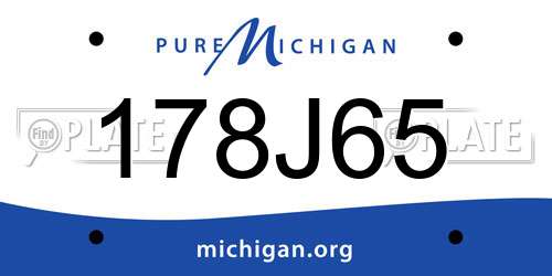 178J65 Michigan License Plate