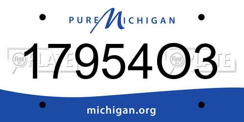 17954O3 Michigan License Plate