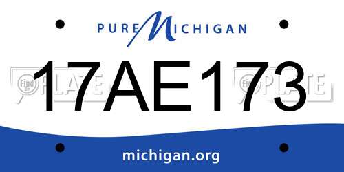 17AE173 Michigan License Plate