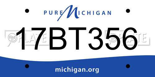 17BT356 Michigan License Plate