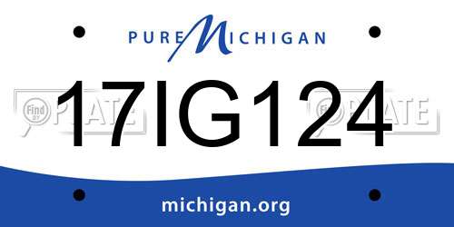 17IG124 Michigan License Plate