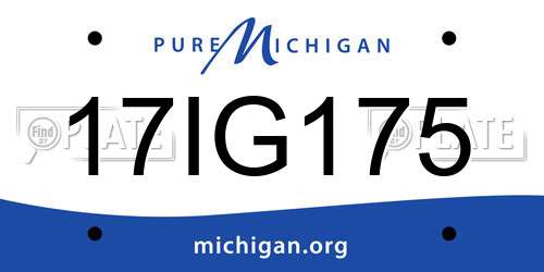 17IG175 Michigan License Plate