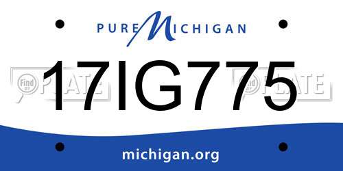 17IG775 Michigan License Plate