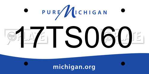 17TS060 Michigan License Plate