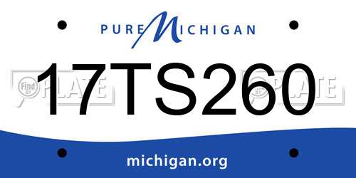 17TS260 Michigan License Plate