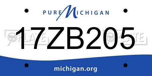 17ZB205 Michigan License Plate