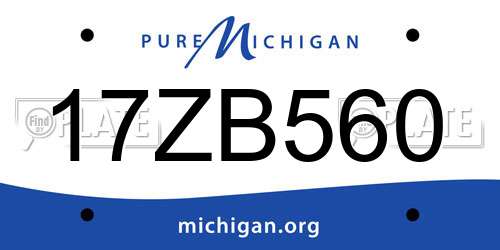 17ZB560 Michigan License Plate