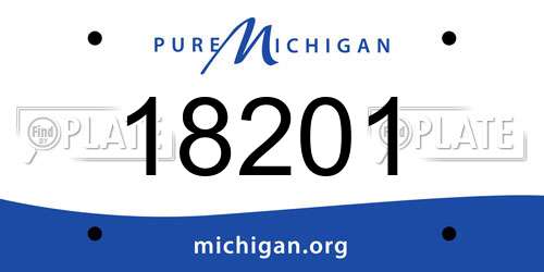 18201 Michigan License Plate