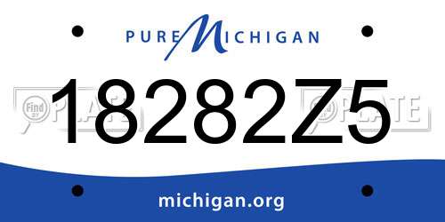 18282Z5 Michigan License Plate
