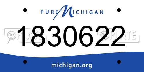 1830622 Michigan License Plate