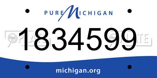 1834599 Michigan License Plate