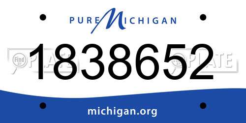 1838652 Michigan License Plate